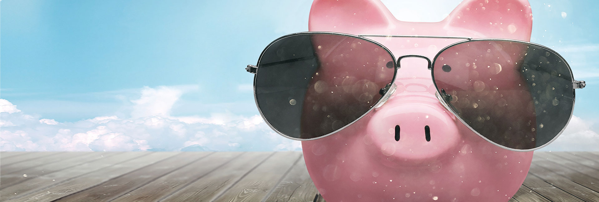 Pinkes Schweinchen mit Sonnenbrille - Coole Sau gesucht! Alcatherm Stellenangebote